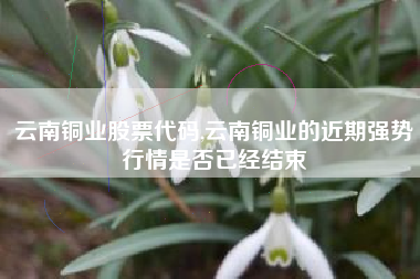 云南铜业股票代码,云南铜业的近期强势行情是否已经结束