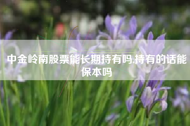 中金岭南股票能长期持有吗,持有的话能保本吗