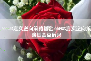 000985嘉实逆向策略基金,000985嘉实逆向策略基金靠谱吗