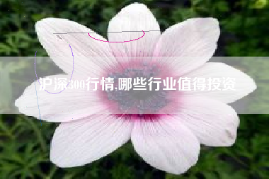 沪深300行情,哪些行业值得投资
