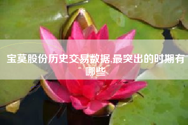 宝莫股份历史交易数据,最突出的时期有哪些