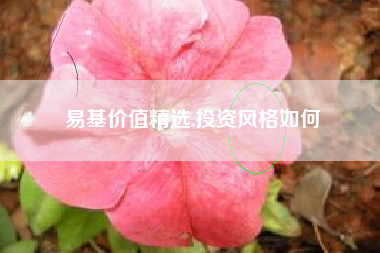 易基价值精选,投资风格如何