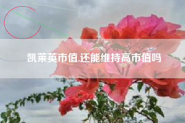 凯莱英市值,还能维持高市值吗