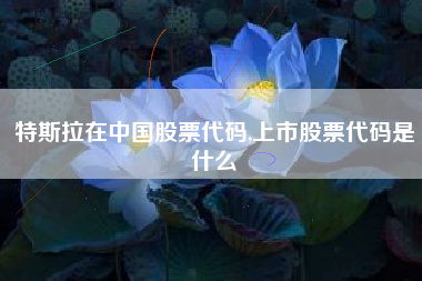 特斯拉在中国股票代码,上市股票代码是什么
