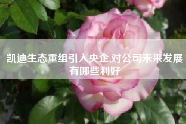 凯迪生态重组引入央企,对公司未来发展有哪些利好