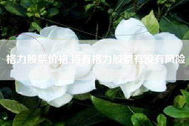格力股票价格,持有格力股票有没有风险