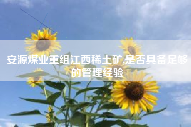 安源煤业重组江西稀土矿,是否具备足够的管理经验