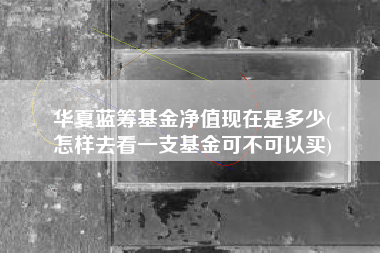 华夏蓝筹基金净值现在是多少(
怎样去看一支基金可不可以买)