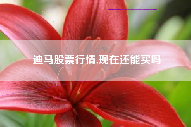迪马股票行情,现在还能买吗