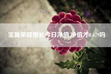宝盈策略增长今日净值,净值才0.679吗