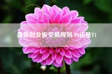 最新创业板交易规则,T0还是T1