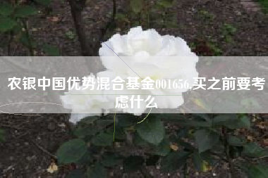 农银中国优势混合基金001656,买之前要考虑什么