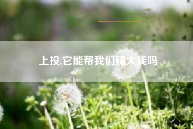 上投,它能帮我们赚大钱吗