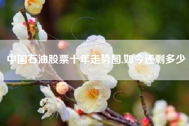 中国石油股票十年走势图,如今还剩多少
