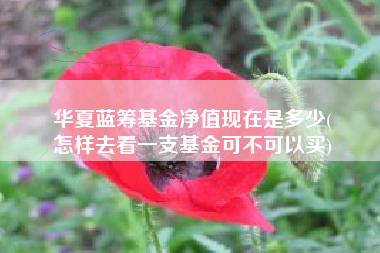 华夏蓝筹基金净值现在是多少(
怎样去看一支基金可不可以买)