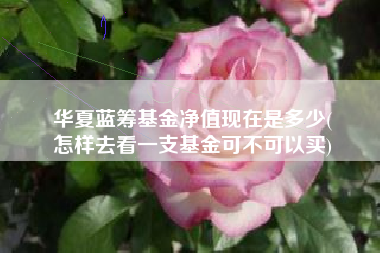 华夏蓝筹基金净值现在是多少(
怎样去看一支基金可不可以买)