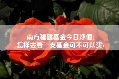 南方稳健基金今日净值(
怎样去看一支基金可不可以买)