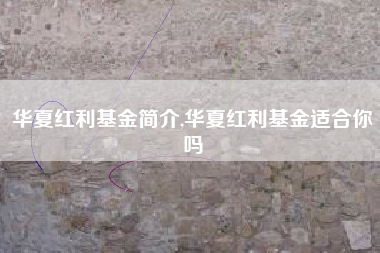 华夏红利基金简介,华夏红利基金适合你吗