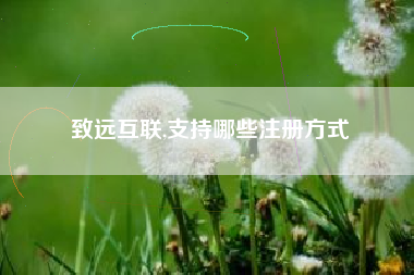 致远互联,支持哪些注册方式