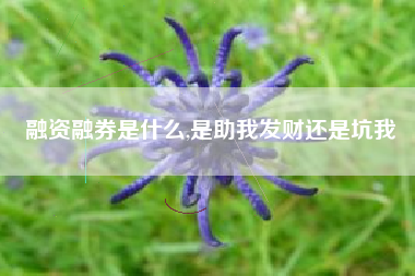 融资融券是什么,是助我发财还是坑我