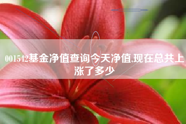 001542基金净值查询今天净值,现在总共上涨了多少