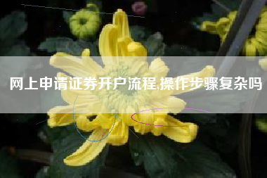 网上申请证券开户流程,操作步骤复杂吗