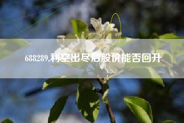 688289,利空出尽后股价能否回升