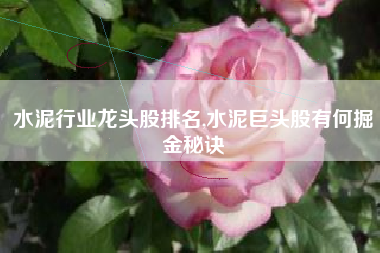 水泥行业龙头股排名,水泥巨头股有何掘金秘诀