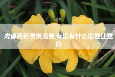 成都高新发展股票,有没有什么需要注意的