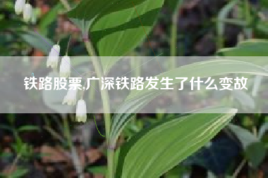 铁路股票,广深铁路发生了什么变故