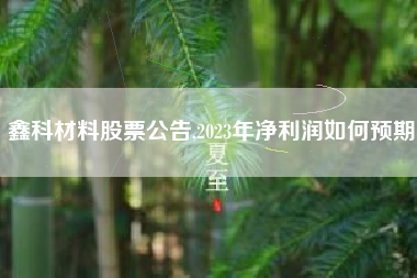 鑫科材料股票公告,2023年净利润如何预期