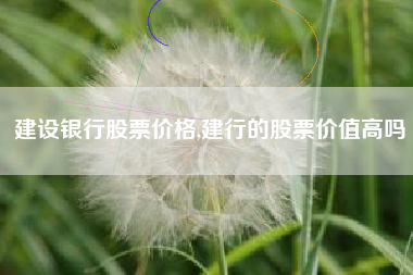 建设银行股票价格,建行的股票价值高吗