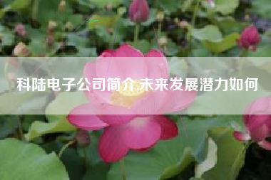 科陆电子公司简介,未来发展潜力如何