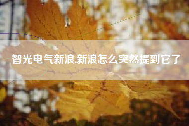 智光电气新浪,新浪怎么突然提到它了
