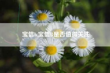 宝信b,宝信B是否值得关注