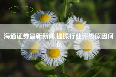 海通证券最新新闻,提振行业评级原因何在