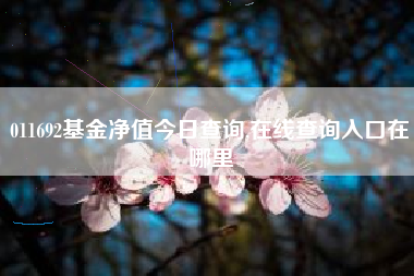 011692基金净值今日查询,在线查询入口在哪里