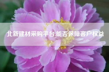 北新建材采购平台,能否保障客户权益