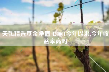 天弘精选基金净值 420001今年以来,今年收益率高吗