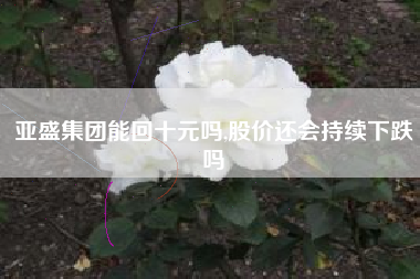 亚盛集团能回十元吗,股价还会持续下跌吗
