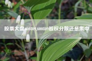 股票大盘600809,600809股权分散还是集中