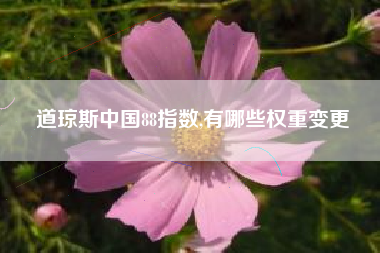 道琼斯中国88指数,有哪些权重变更