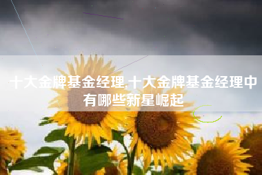 十大金牌基金经理,十大金牌基金经理中有哪些新星崛起