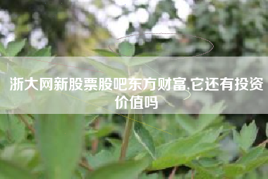 浙大网新股票股吧东方财富,它还有投资价值吗