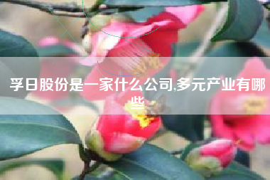 孚日股份是一家什么公司,多元产业有哪些