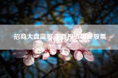 招商大盘蓝筹,主要投资哪些股票