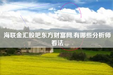 海联金汇股吧东方财富网,有哪些分析师看法