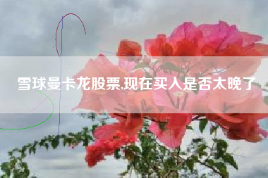 雪球曼卡龙股票,现在买入是否太晚了