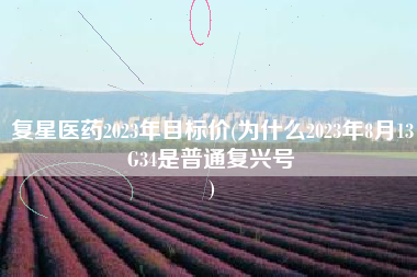 复星医药2023年目标价(为什么2023年8月13G34是普通复兴号
) 复星医药2023年目标价(为什么2023年8月13G34是普通复兴号
)