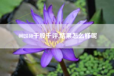 002840千股千评,结果怎么样呢